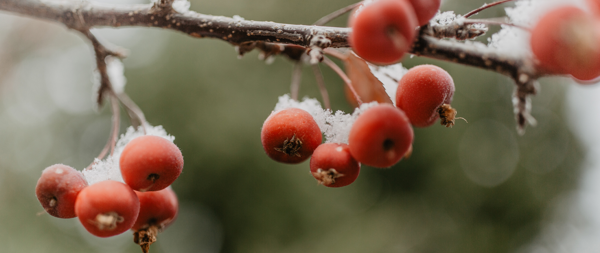 <p>New Year Prayer Services<br />
January 5 &amp; 6<br />
6:00 PM, Sanctuary</p>
