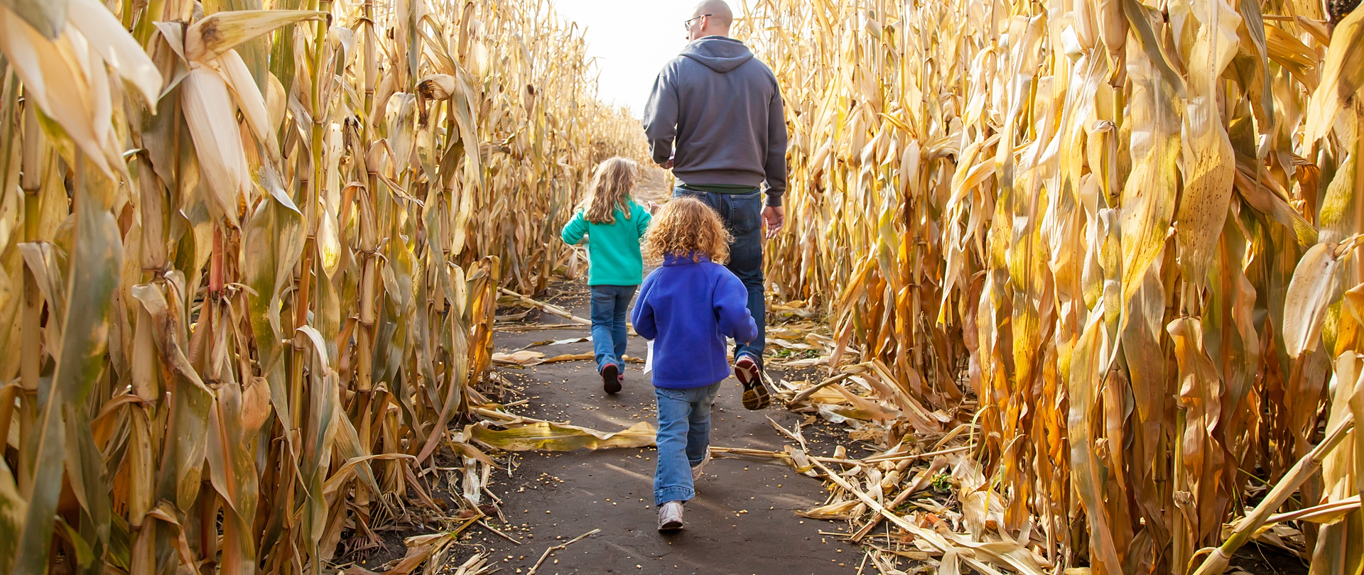 Family Corn Maze
Saturday, October 14
Hall Family Farm
