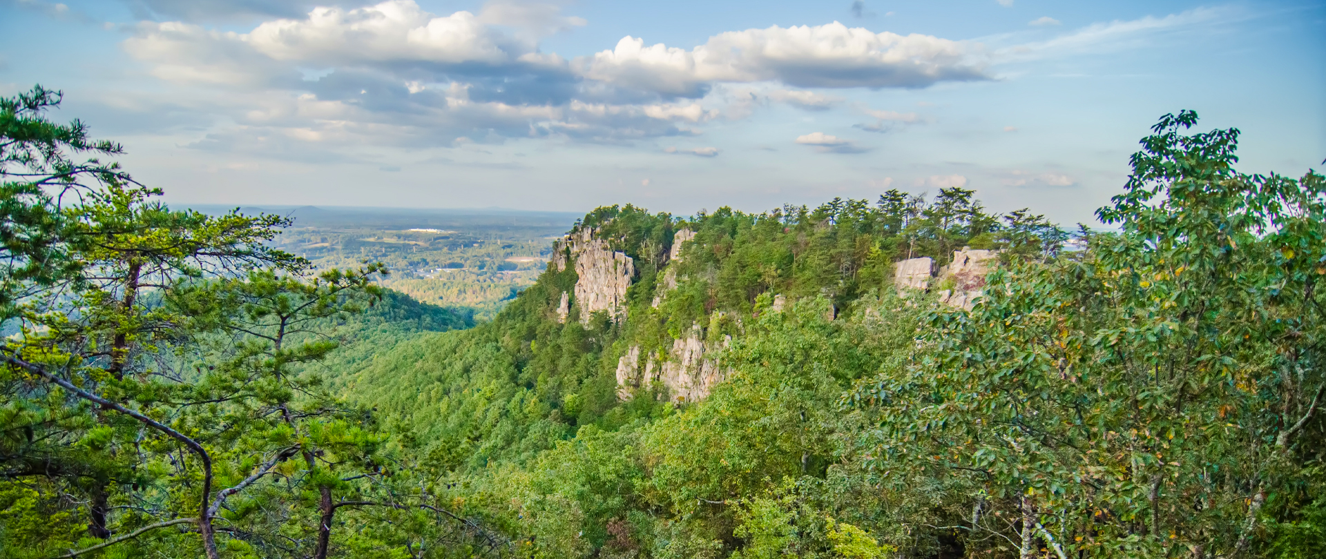 <p>College Retreat<br />
at Crowders Springs<br />
April 10&ndash;12<br />
<em>Register now!</em></p>
