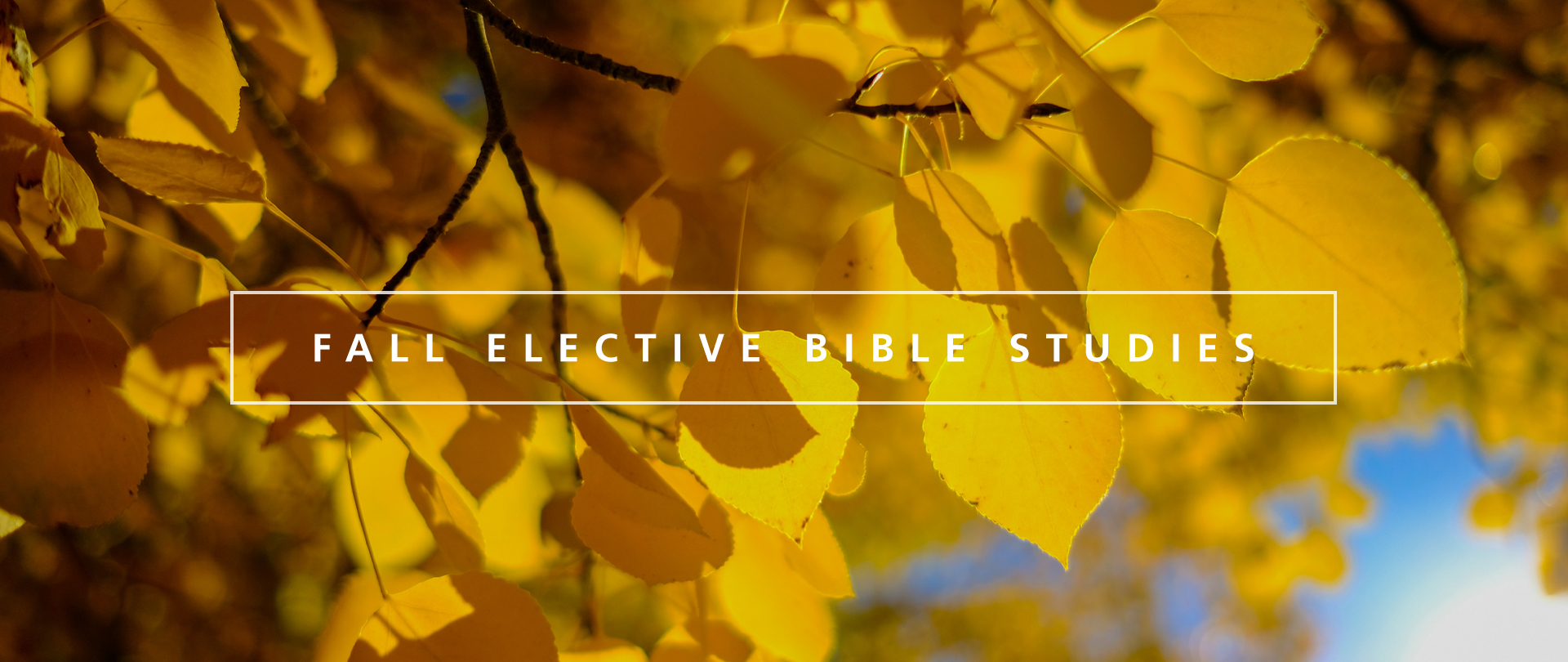 Fall Elective Bible Studies
Wednesdays, 6:30–8:00 PM
Beginning September 10
