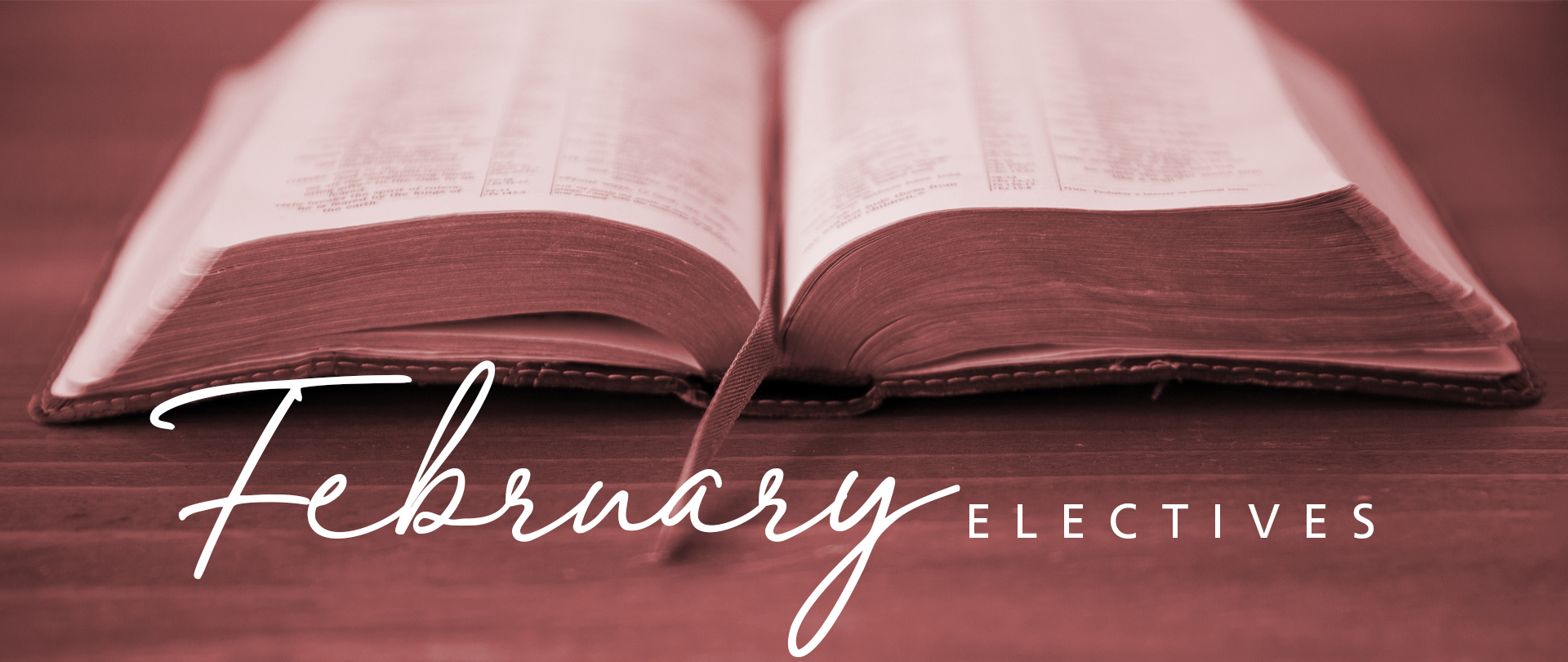 <p>February Elective Studies<br />
Wednesdays, February 4&ndash;18<br />
<em>Register now!&nbsp;</em></p>
