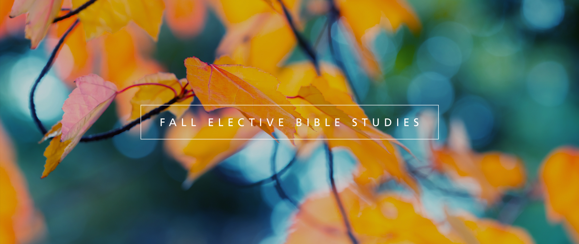 Bible Study Electives
Wednesdays, 6:30–8:00 PM
Register now for Module 2
