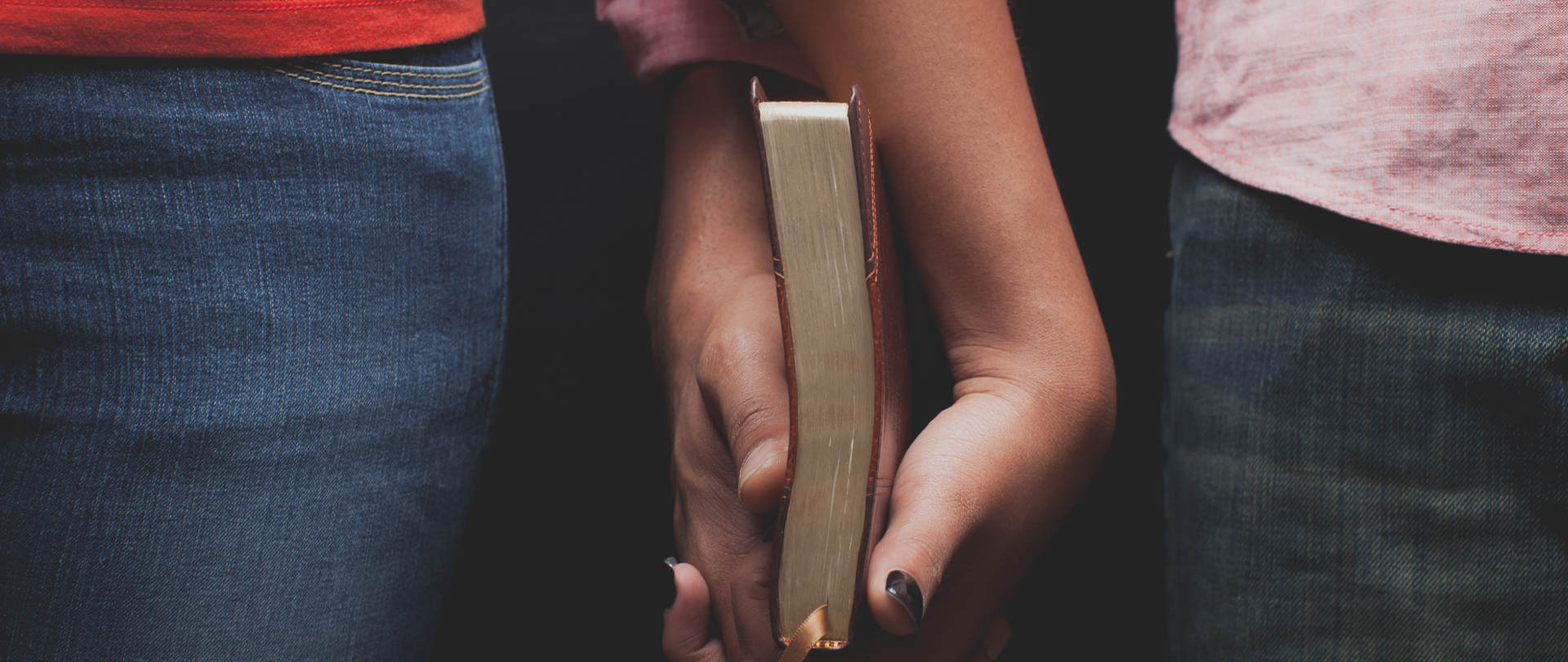 <p>Family Conference<br />
"The Mission and Ministry of the Family"<br />
April 24&nbsp;&amp; 25<br />
<em>Register now!</em></p>
