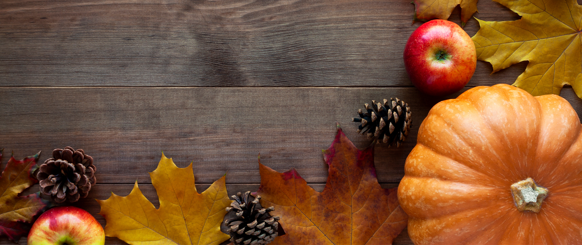 <p>Young Adult&nbsp;Friendsgiving<br />
Saturday, November 15<br />
Worship, Dinner &amp; Fellowship<br />
<em>Register now!</em></p>
