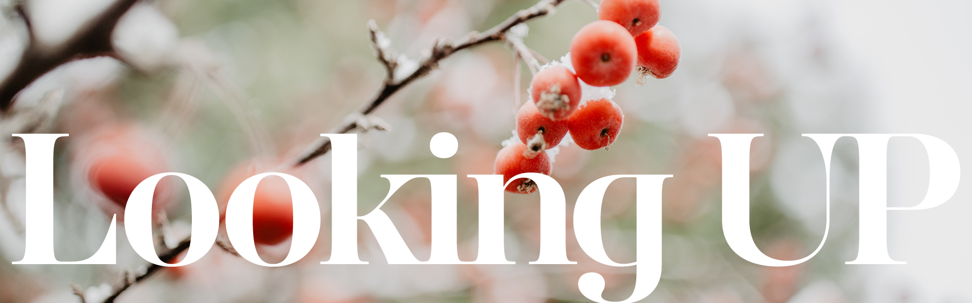 <p>Looking Up<br />
<em>Calvary news every Friday!</em></p>
