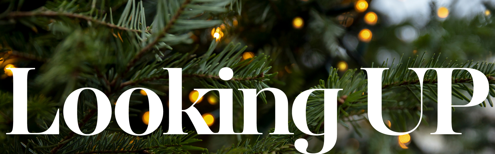 <p>Looking Up<br />
<em>Calvary news every Friday!</em></p>
