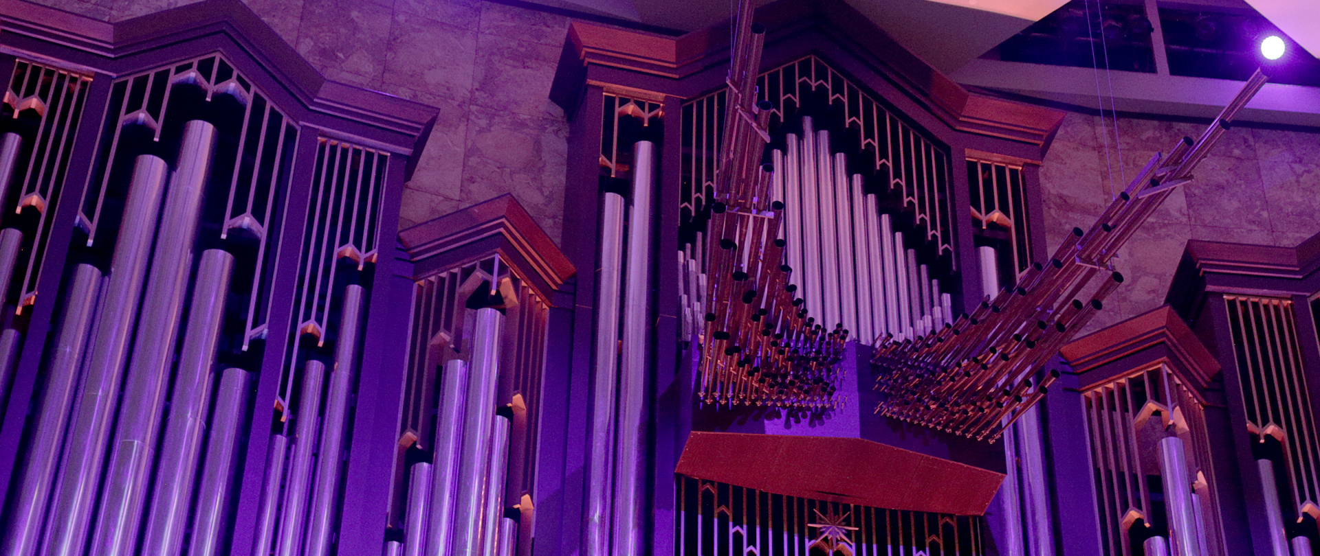 Organ Concert
Thank you for joining us
Watch Again!
