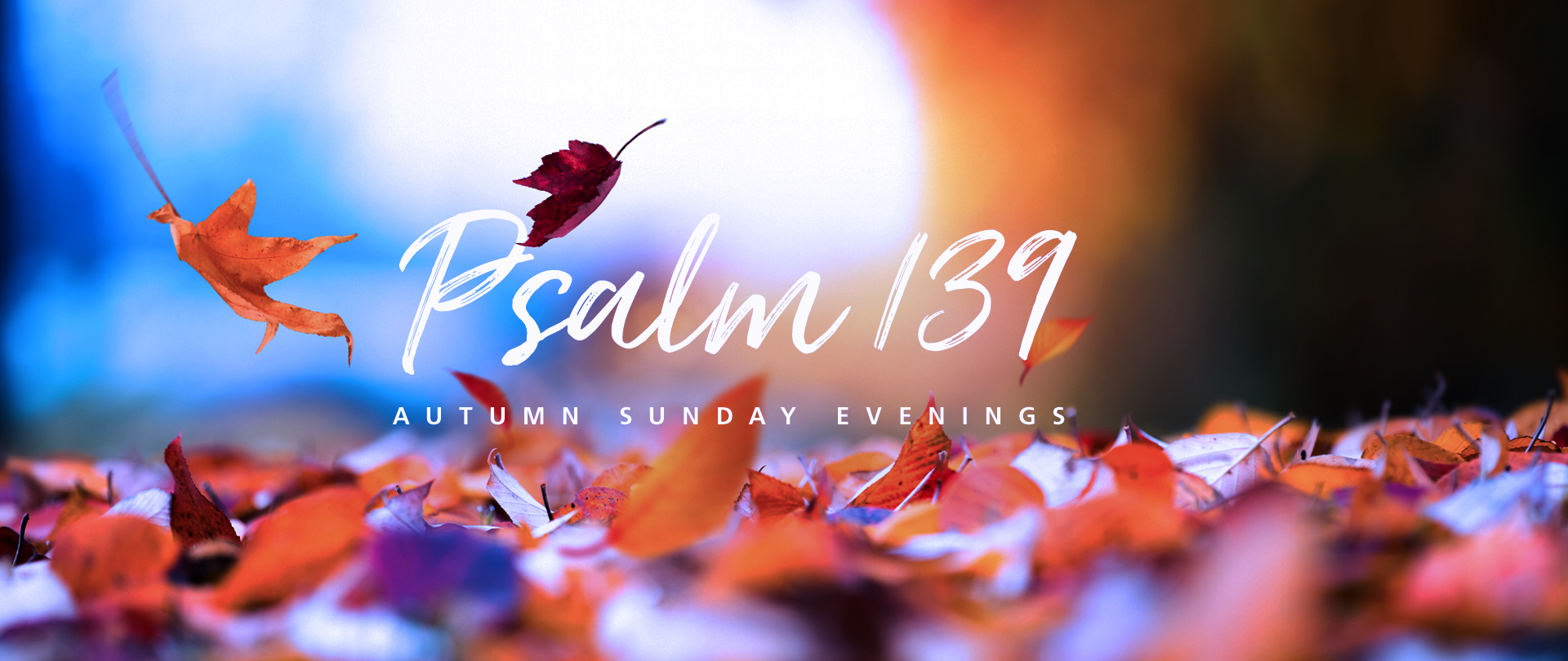 Psalm 139
Selected Sundays at 6:00 PM
Join us on November 5
