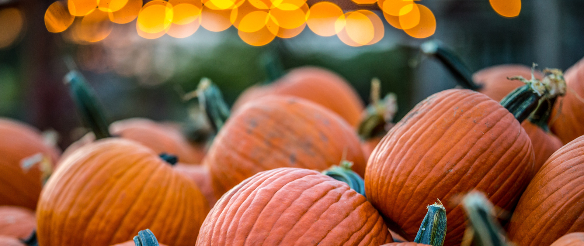 Pumpkin Night
Student Ministry
Sunday, October 22 at 6:00 PM
Check-in at the CLC
