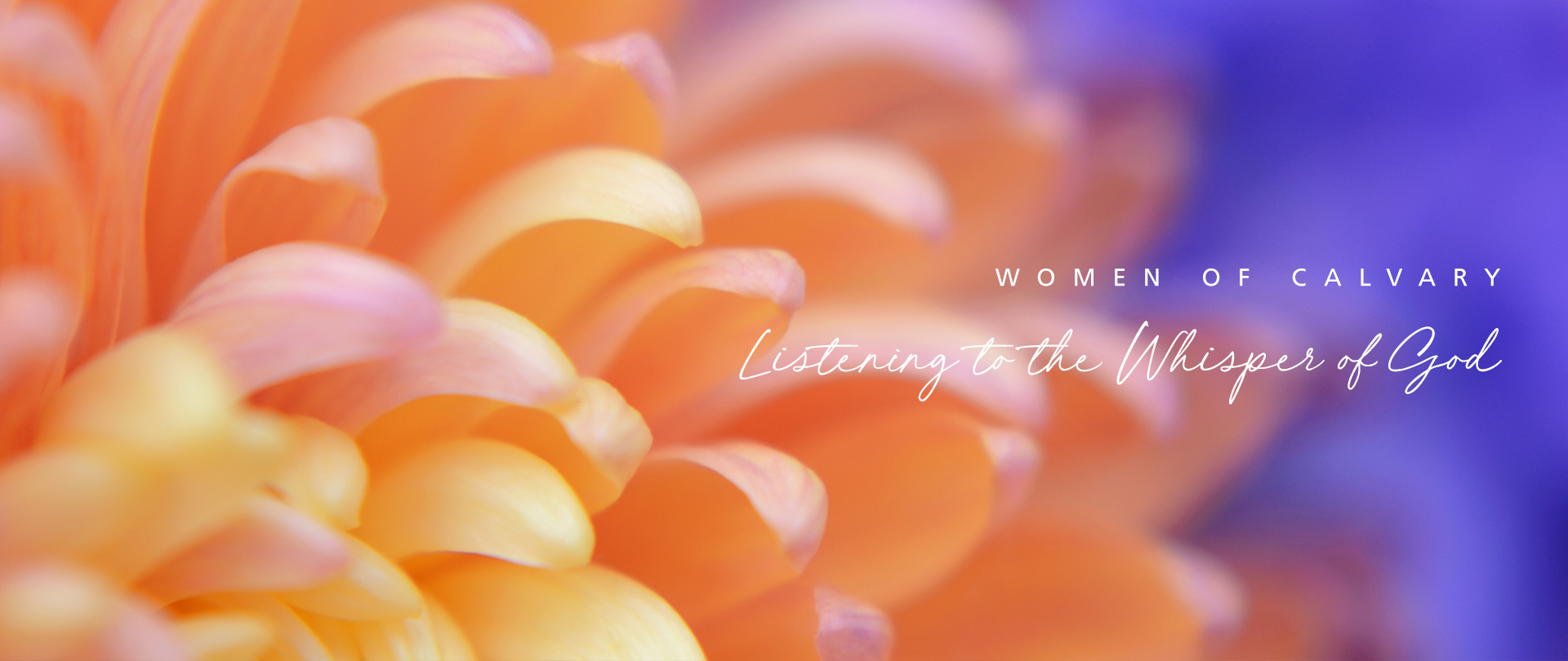 <p>Women&rsquo;s Breakfast<br />
Fall Season Kick-off<br />
Saturday, August 29, 9:00 AM<br />
<em>Register now!</em></p>
