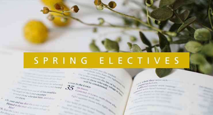 Spring Elective Bible Studies
