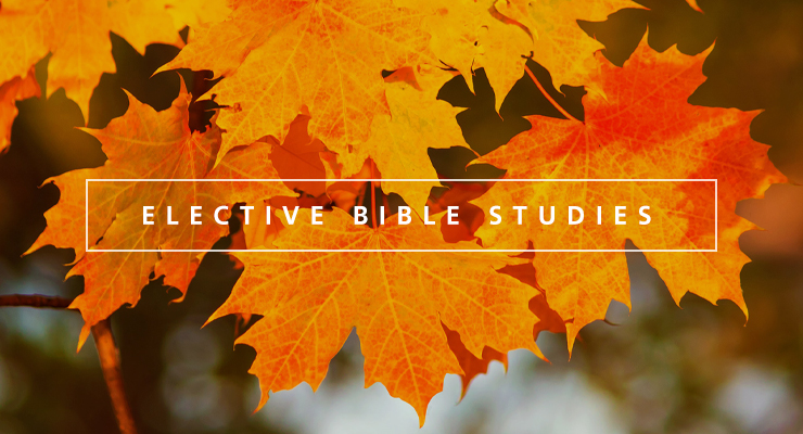 Fall Elective Bible Studies

