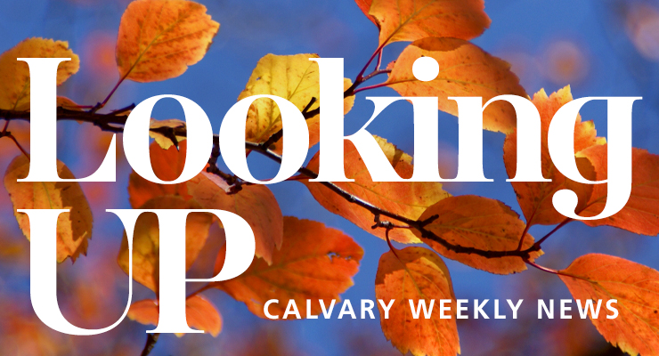 Weekly News
