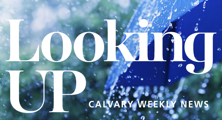 Weekly News
