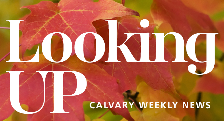 Weekly News
