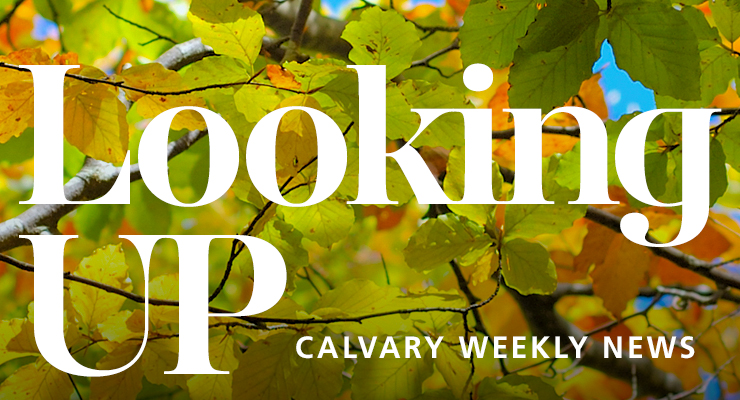 Weekly News
